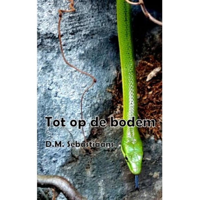 Tot Op De Bodem - D.M. Sebastiaans