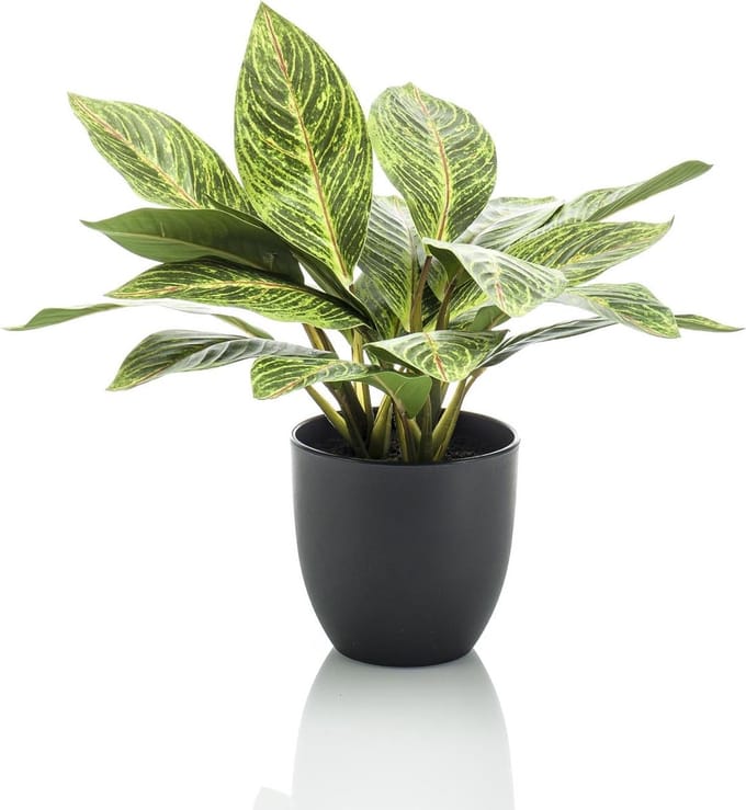 Kunstplant - Croton Codiaeum - Wonderstruik - 38 cm