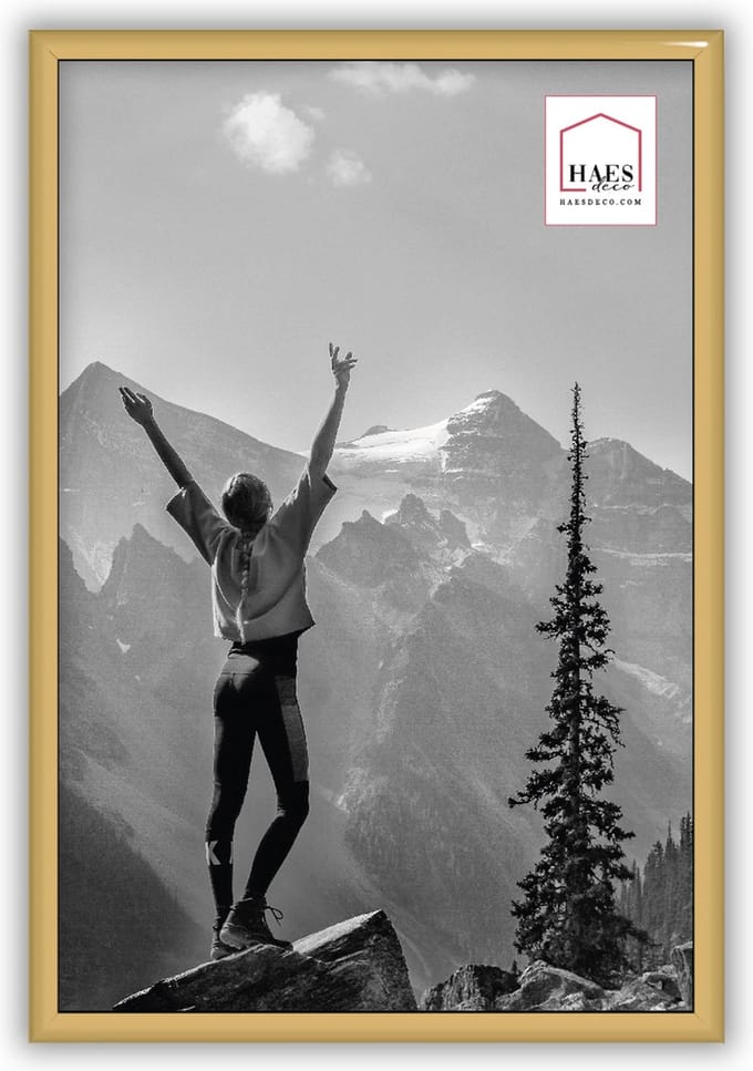 HAES DECO - Kunststof fotolijst 20x30 goud Easy Frame - EF4G