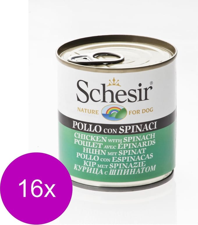 Schesir Hond Blik Gelei 285 g - Hondenvoer - 16 x Kip&Spinazie