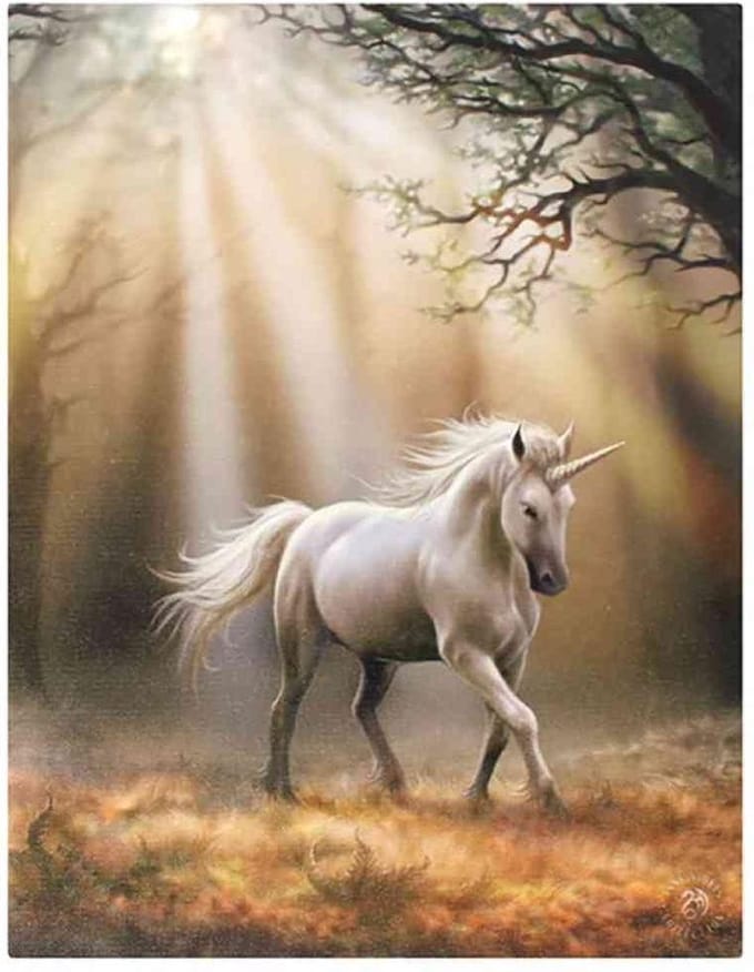 Anne Stokes Glimpse Unicorn canvas schilderij