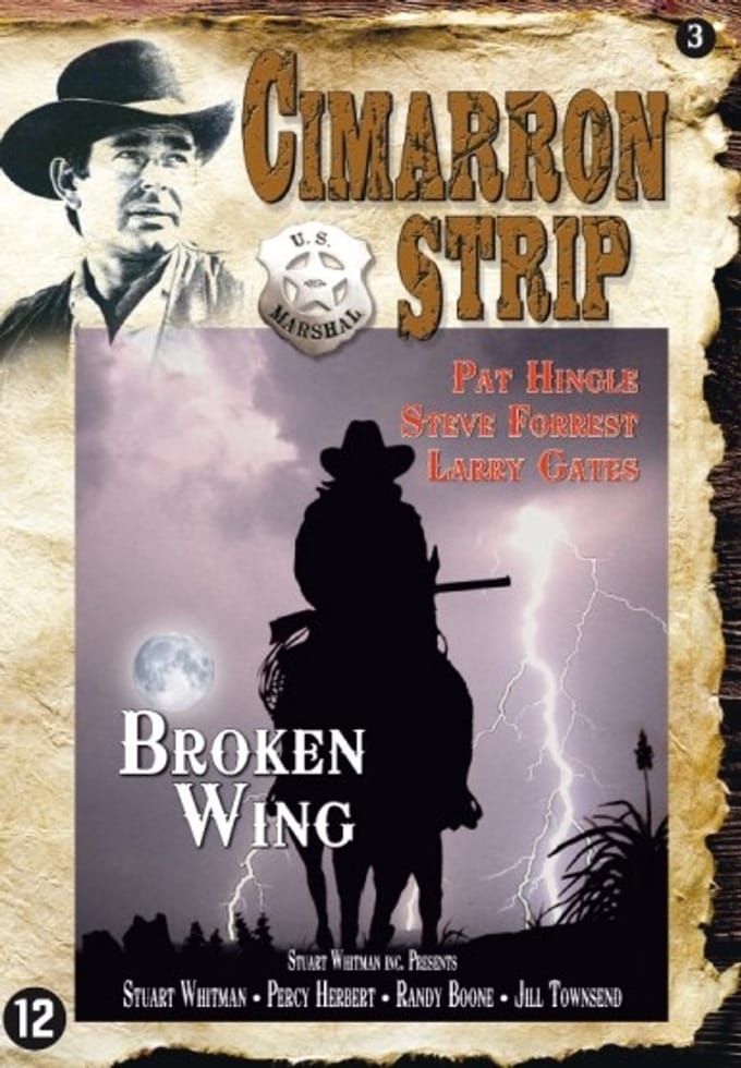 Broken Wing (DVD)