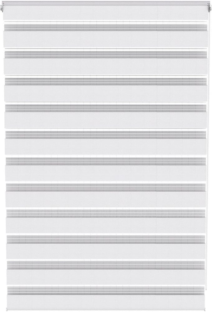 ACXIN Zebra Rollo Klemmfix - Zonder Boren - Lichtdoorlatend en Verduisterend - 100x150cm Wit