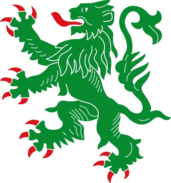 Vlag Hamoir 200x300cm