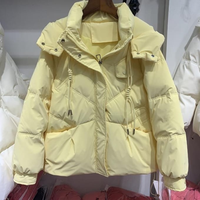 Nieuwe Witte Eendendons Leave-in Donsjas Dames Kort Warm Broodjack Verdikte Jas S