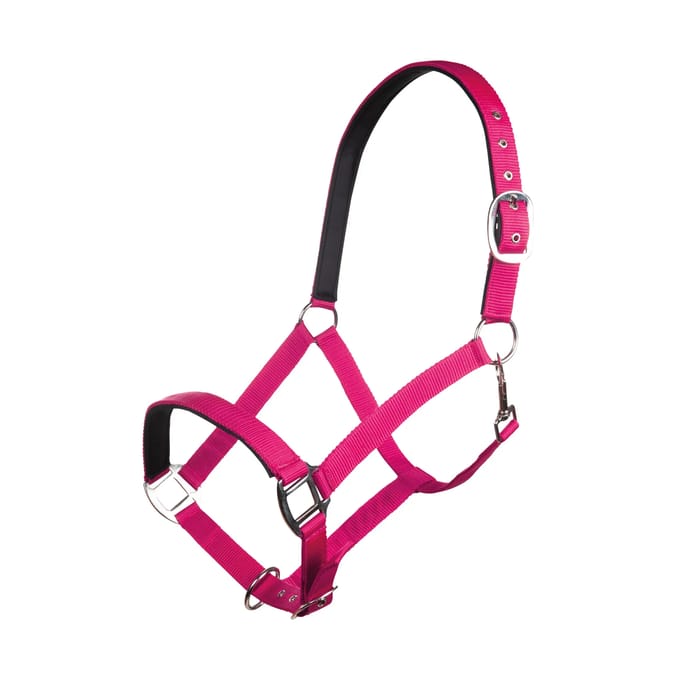 Nylon halster voor paard met zachte voering HKM Charming