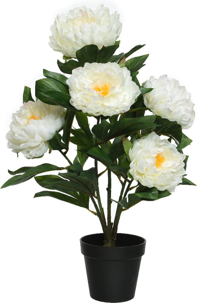 Everlands kunst pioenroos in pot - H57 cm - wit - kunst struik