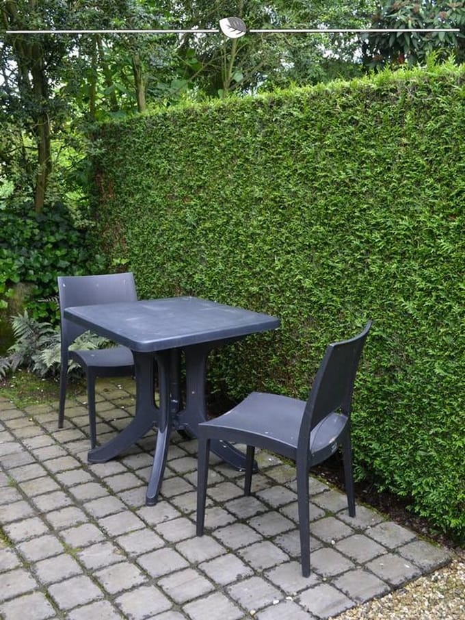 Levensboom Thuja plicata Martin 100-120 cm, 100x Haagplant