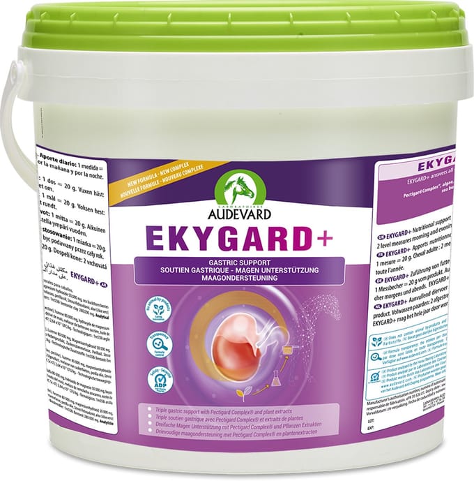 Audevard Ekygard + 6kg