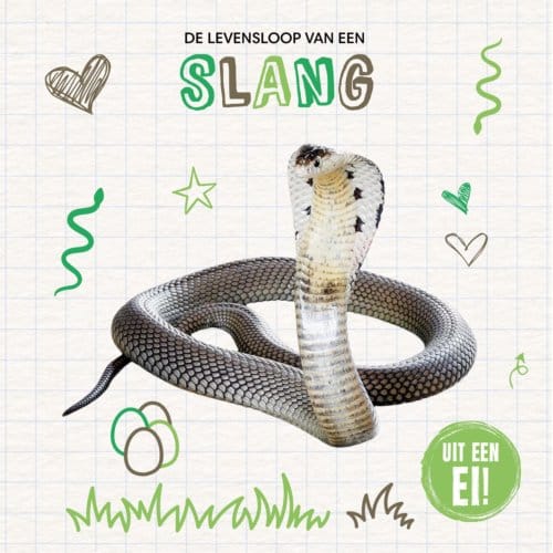 De Levensloop Van Een Slang - Uit Een Ei! - Holly Duhig