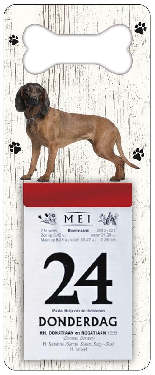 Scheurkalender 2027 Hond: Beierse Bergzweethond