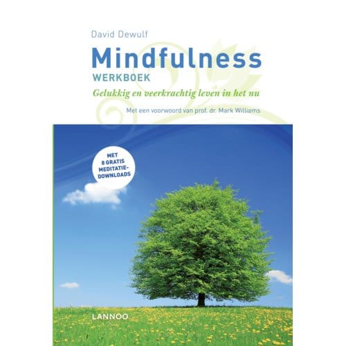 Mindfulness Werkboek - David Dewulf
