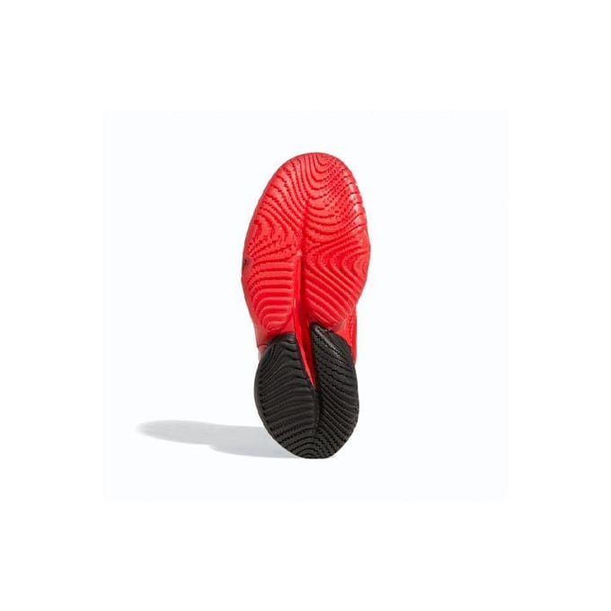 Kinderbasketbalschoenen adidas D.O.N.