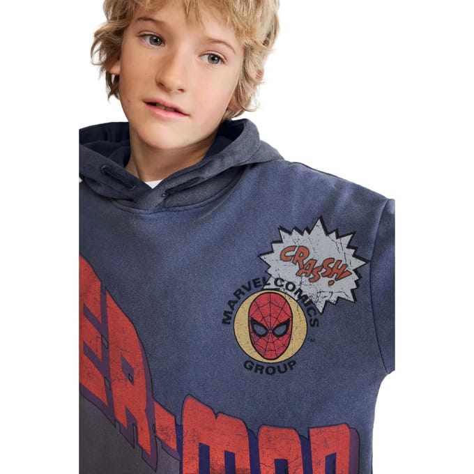 Junior Sweatshirt Desigual Bang! Spider