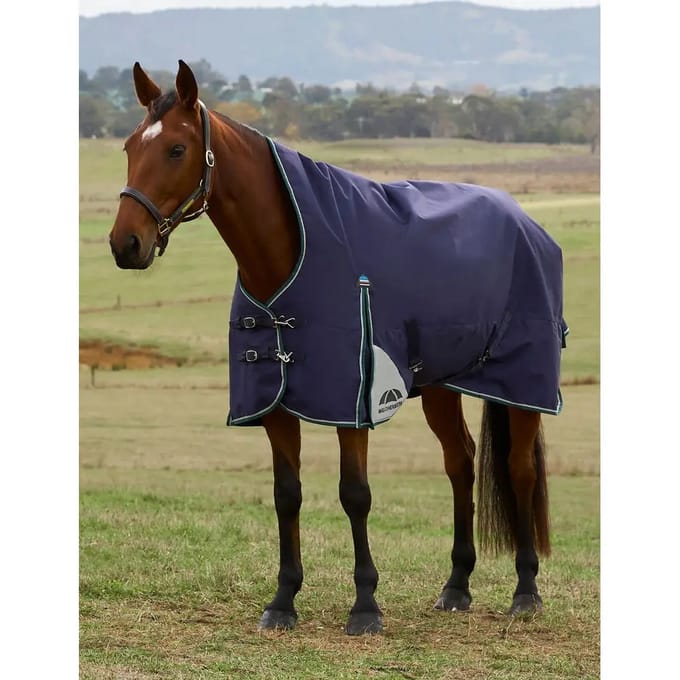 Hoge kraag paardendeken Weatherbeeta Comfitec Plus Dynamic 220g