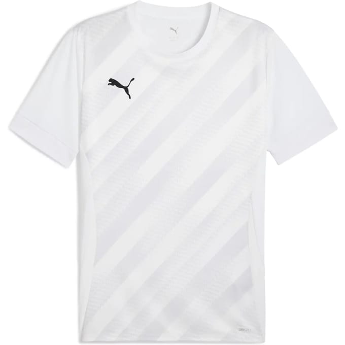Jersey Puma teamGoal Graphic
