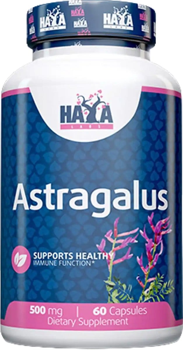 Astragalus 500mg - 60 caps