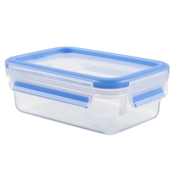 Tefal MasterSeal Fresh - Vershouddoos - 0,8L - 100% Lekvrij - Geschikt voor Diepvries