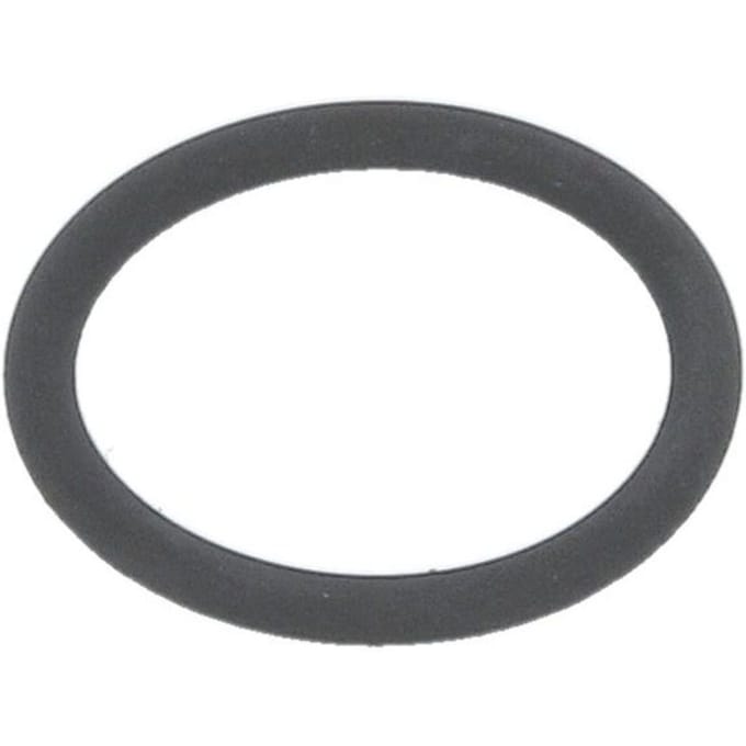 Versnellingsbak O-ring ZF 0634316217ZF