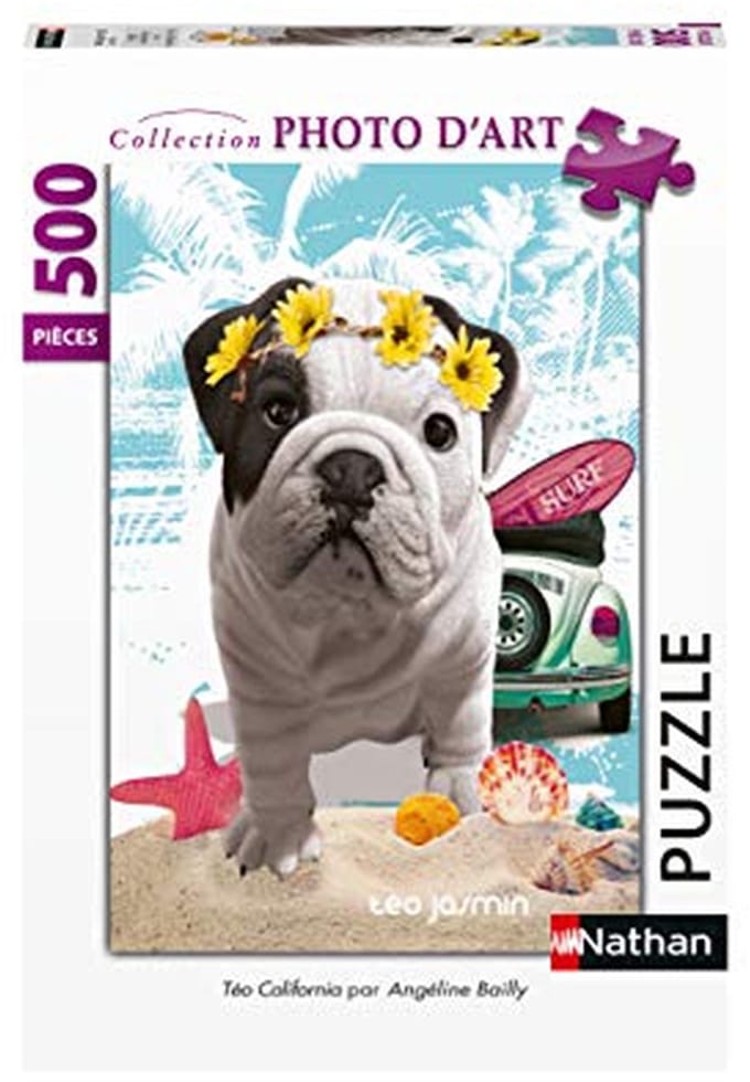 500 Stuk Puzzel Teo California voor Volwassenen
