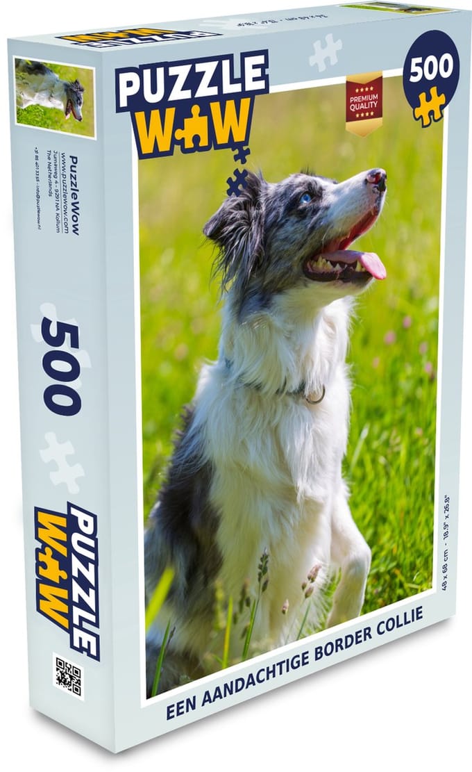 Puzzel Een aandachtige border collie - Legpuzzel - Puzzel 500 stukjes