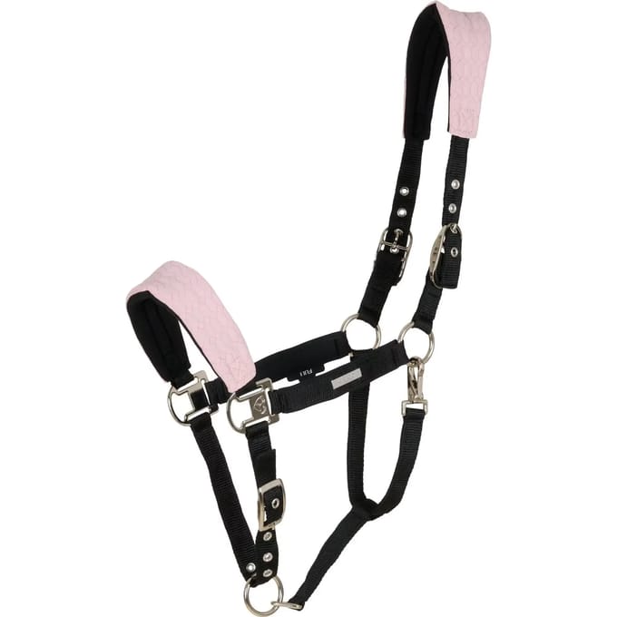 Halster voor paarden Catago FIR-Tech