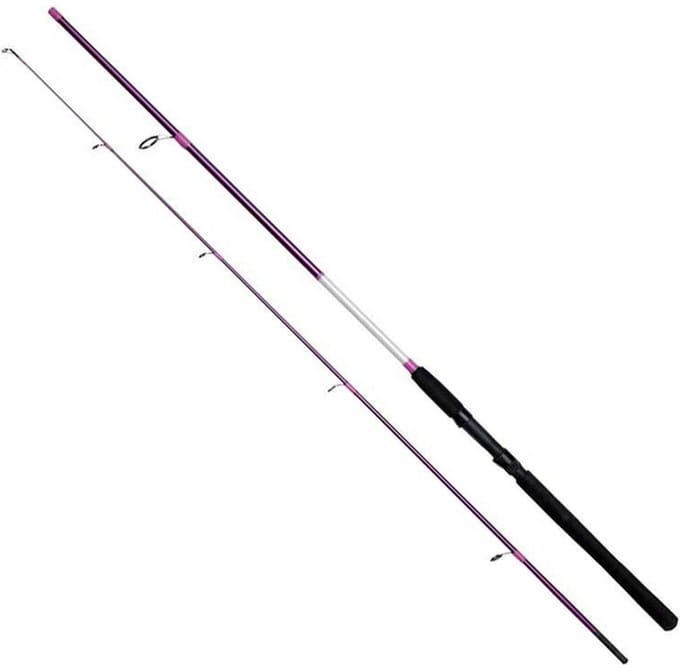 Kinetic Fantastica-q Cc Spinhengel Zwart 2.75 m / 20-60 g