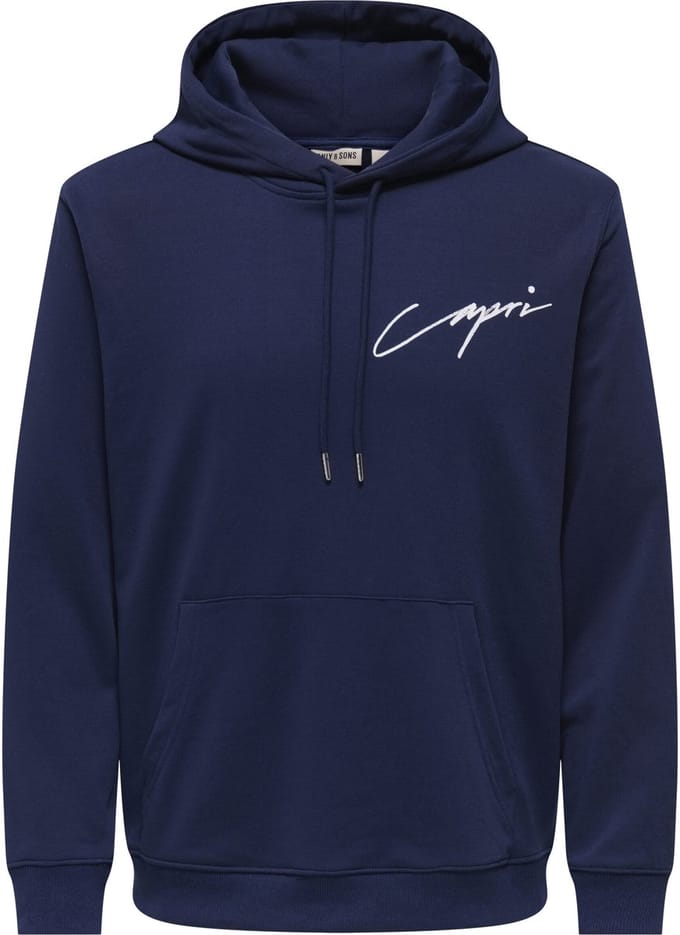 ONLY&SONS - ONSDAVID SKETCH REG HOODIE - Heren - Sweaters