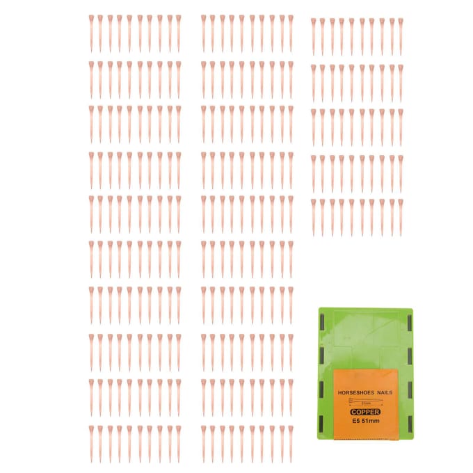 250 clous de fer à cheval plaqués cuivre pour ferrage avec boîte en plastique pour l'élevage E2 beige