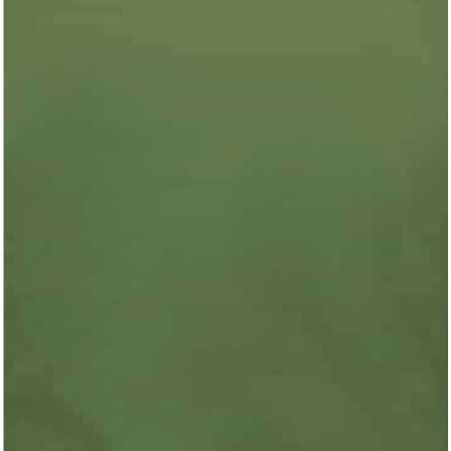 Exclusieve Blanco Overhemden Heren - Slim Fit - 3083 - Groen