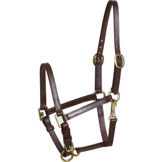 Halster voor paarden HorseGuard