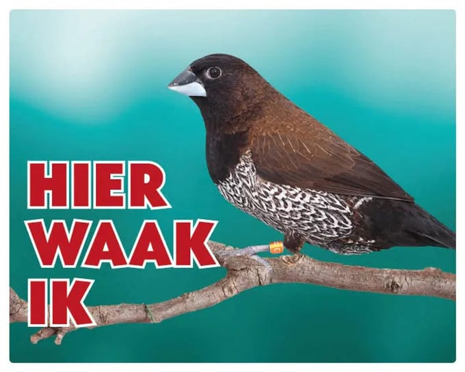 Japanse Meeuw Waakbord - Hier Waak Ik