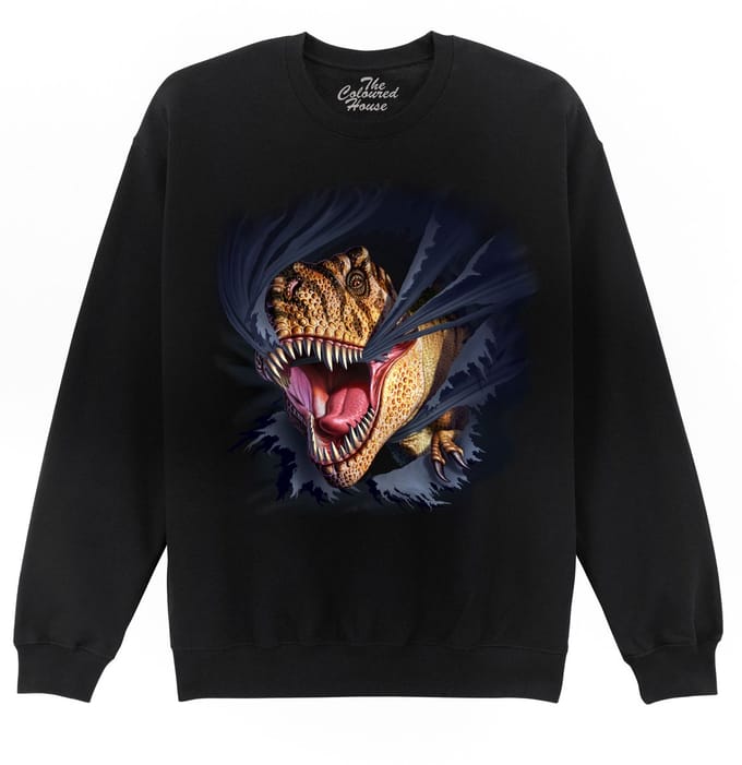 Dino T-Rex Tearing Black The Coloured House Sweater S