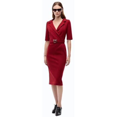 Jurk Pinko ARNEBIA 107475 A3AH-R59
