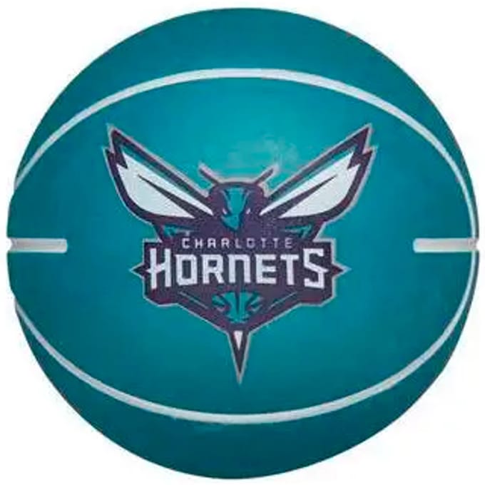 Stuiterende bal nba dribbelen Charlotte Hornets