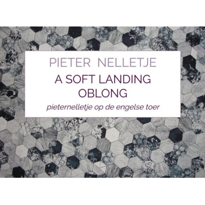 A Soft Landing Oblong - Pieter Nelletje