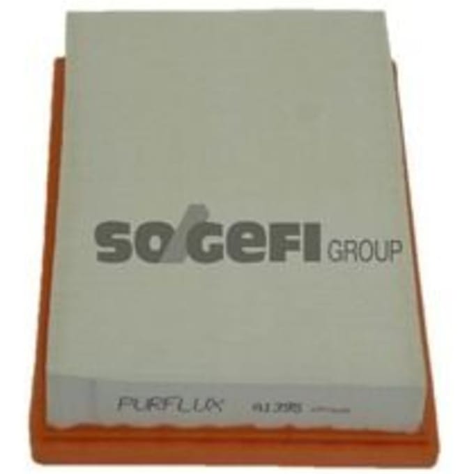 Luchtfilter PURFLUX A1395