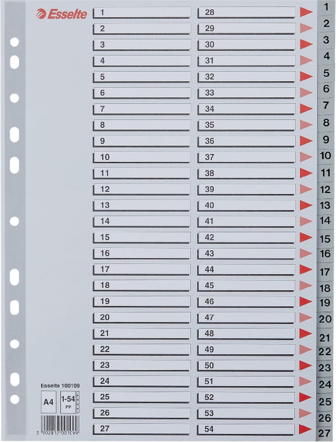 Esselte Index A4 - 0,12mm PP - Tabs 1-54 - 11-gaats - Grijs