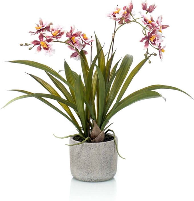 Emerald - Kunstplant in pot Oncidium bordeux 45cm - Kunstplant voor binnen
