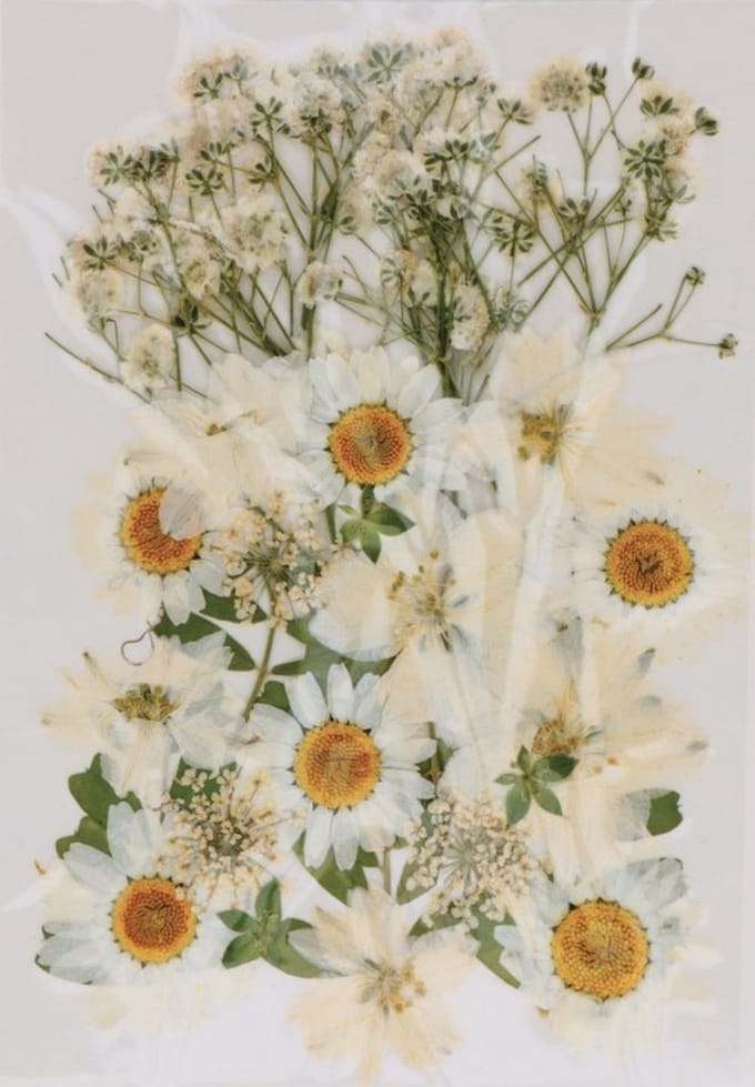 Boeket van perste bloemen Artemio