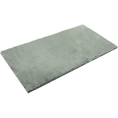 LIVARNO Vloerkleed 80 x 150 cm (Lichtgrijs)