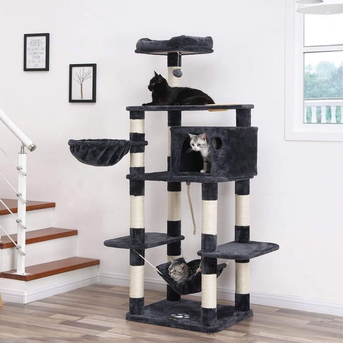 Kattenhuis - Huis voor Katten - XXL