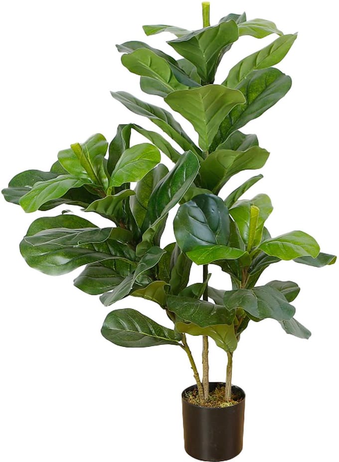 Lykke Kunstplant Vioolblad Vijgenboom 85cm
