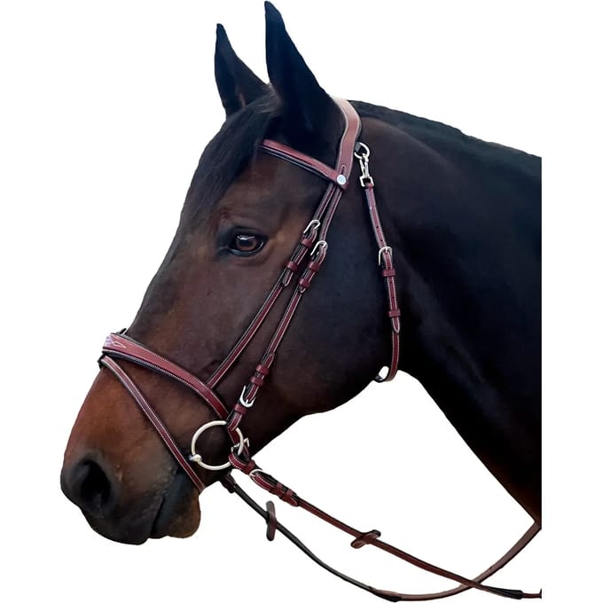 Hoofdstellen voor paarden Flags&Cup New York