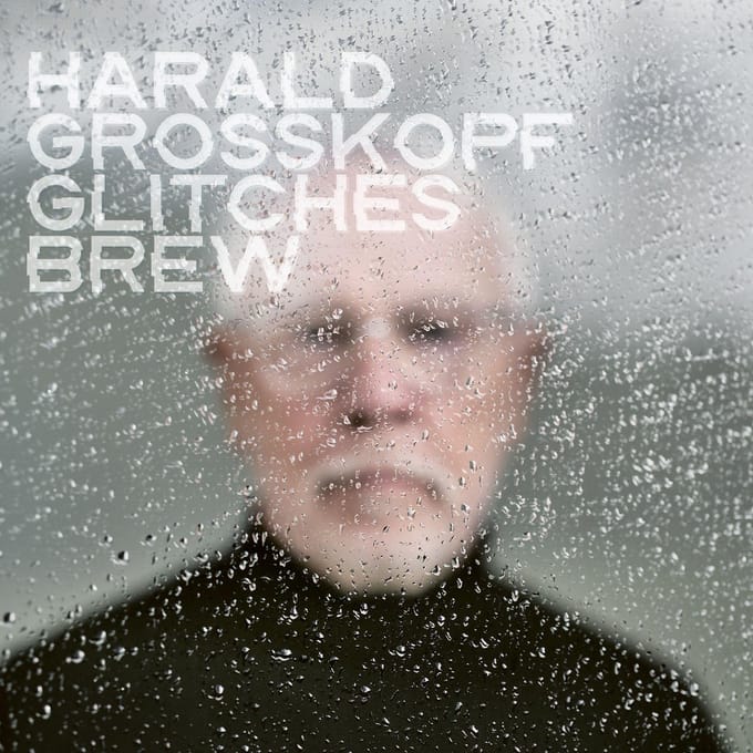 Harald Grosskopf - Glitches Brew (LP)
