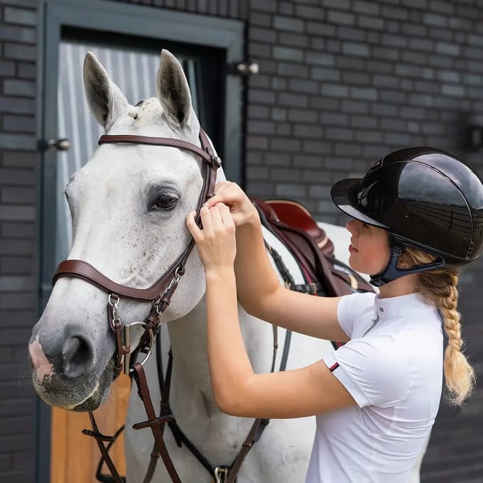 PresTeq Hoofdstel FaySport Bruin - Full