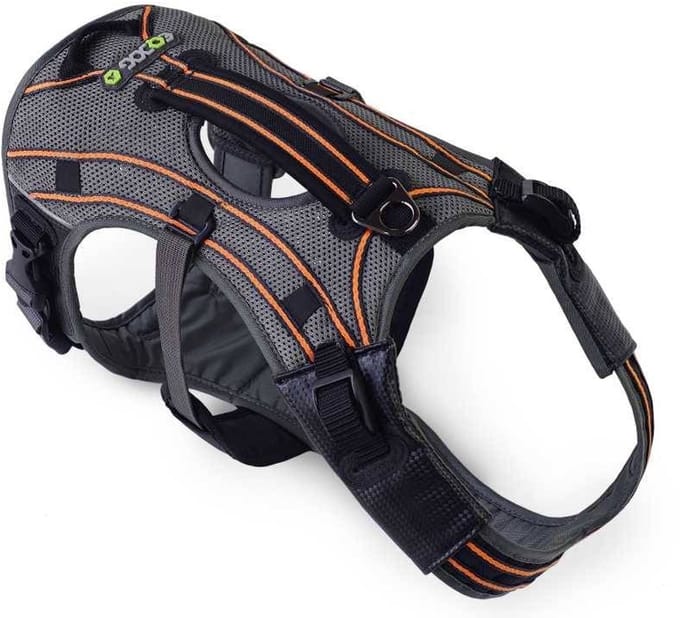 EQDOG Hondentuig Pro Harness Oranje Maat L