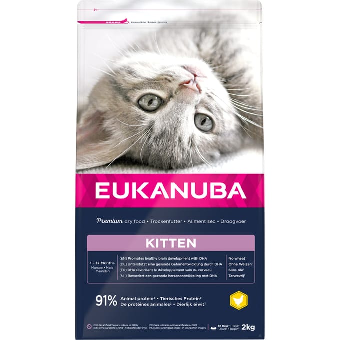 Eukanuba Kat Kitten - Junior Kip - Lever 2 kg