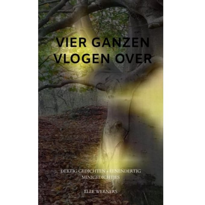 Vier Ganzen Vlogen Over - Elle Werners
