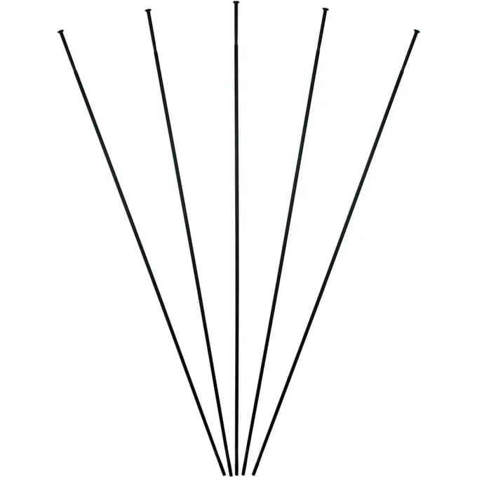 Terugreis roggen Massi (x5)